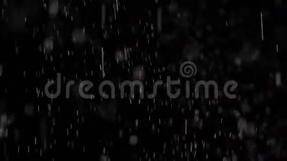 漂浮的天然尘埃在黑色背景上闪闪发光视频的预览图