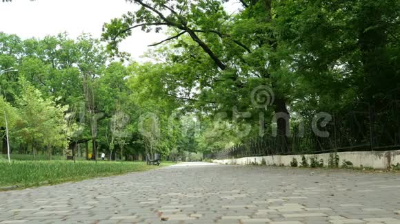 在乌克兰敖德萨市的一个城市公园里的空巷在树间视频的预览图