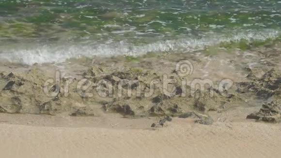 阳光明媚的海滩上海浪在石头上翻滚视频的预览图
