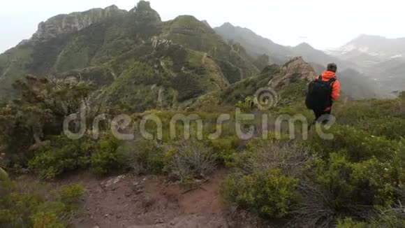 年轻女子在高山上的仙人掌中行走在美丽的景色中登上山顶的女士视频的预览图