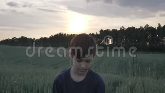 快乐的男孩在傍晚的时候把麦穗抛向天空视频的预览图