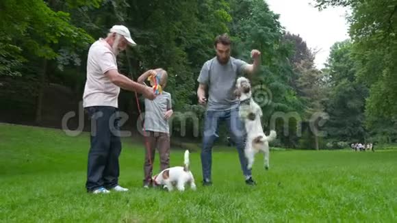 爸爸爷爷和儿子的幸福家庭杰克鲁塞尔狗玩得开心笑跑一起散步视频的预览图