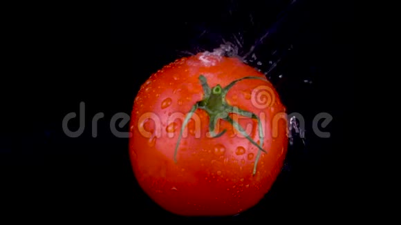 水喷在番茄上在黑色的背景下视频的预览图