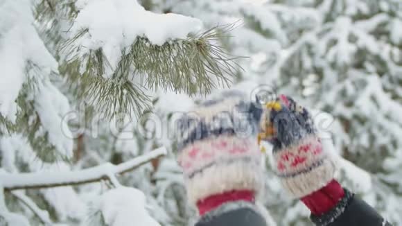 在冬林装饰圣诞树视频的预览图