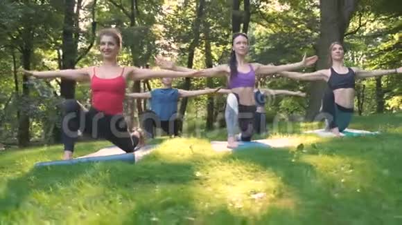 五组运动女性与教练一起练习瑜伽在夏季公园锻炼在户外锻炼视频的预览图