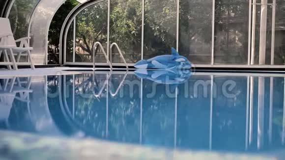 室内游泳池的景观是明亮的蓝色的水旁边躺着一只充气海豚阳光明媚的夏日视频的预览图