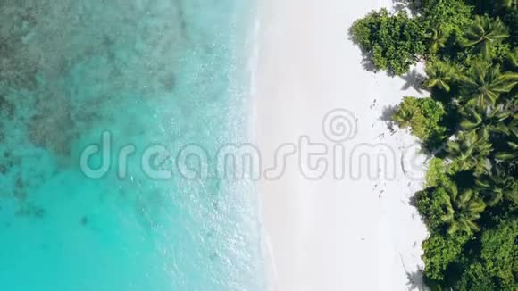 空中无人机4k镜头移动在热带天堂沙滩海岸线与椰子棕榈树和绿松石视频的预览图