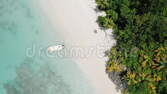 空中无人机4k鸟眼镜头带椰子树的热带天堂海滩的圆圈运动和孤独的游客视频的预览图