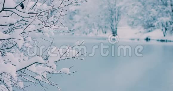 阳光明媚寒冷的冬天早晨树枝上有新鲜的雪4k决议视频的预览图