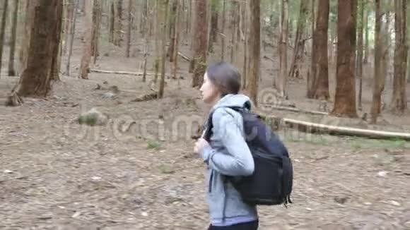 女性背包客在暑假旅行时穿过树林带背包的年轻女游客走在视频的预览图
