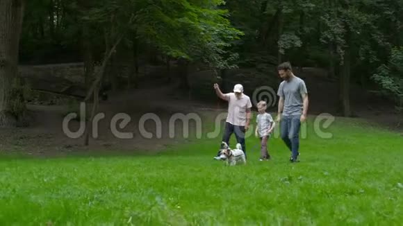 爸爸爷爷和儿子的幸福家庭杰克鲁塞尔狗玩得开心笑跑一起散步视频的预览图