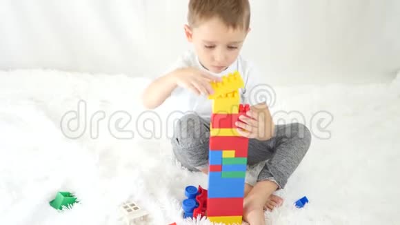 孩子在白色的背景上建造一座彩色积木塔儿童发展的概念从上面看视频的预览图
