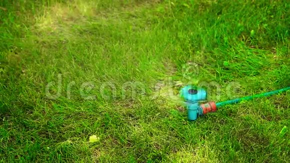 夏季天气炎热草坪上的喷水器HD1920x1080视频的预览图