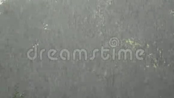 抽象夏雨滴背景视频的预览图