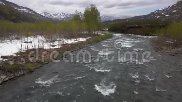 早春山水冷山河河岸边开花的树木视频的预览图