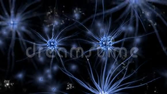 大脑冲动神经元系统人体解剖学脑力劳动传输脉冲并生成信息视频的预览图