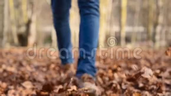 秋天在田园诗般的公园里散步时嬉戏的人踢起一堆五颜六色的叶子走在路上的人视频的预览图
