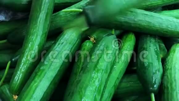 特写拍摄女性手选鲜青黄瓜女人在超市挑选蔬菜视频的预览图