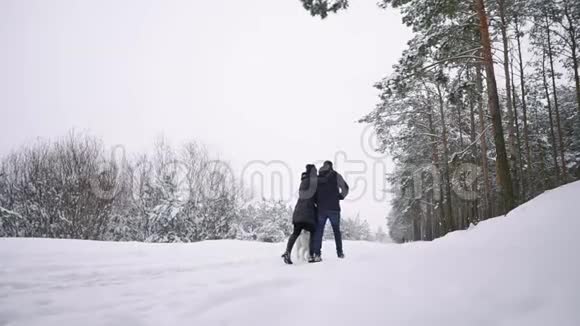爱的男人和女人在冬天的森林里带着西伯利亚哈士奇走着微笑着看着对方视频的预览图