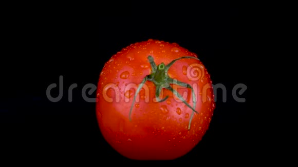 水喷在番茄上在黑色的背景下视频的预览图