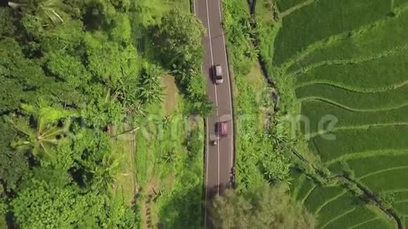 绿稻种植园鸟瞰无人机飞过稻田汽车在亚洲村的公路上行驶农业和视频的预览图