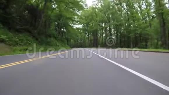 初夏驾车穿越绿林视频的预览图