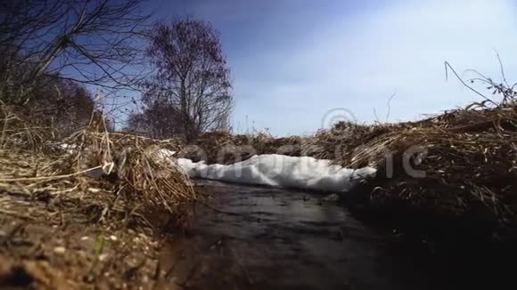 阳光明媚的一天春流穿过田野溪流唤醒自然视频的预览图