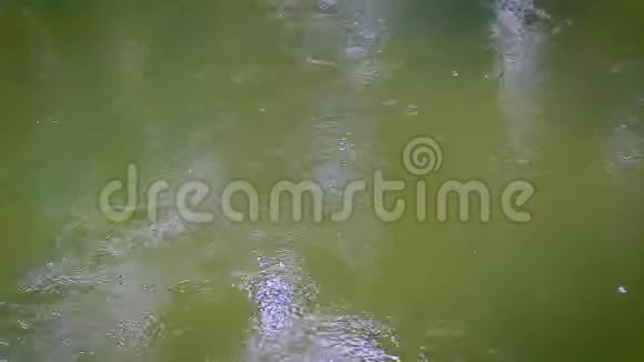 高清雨滴在水里雨季视频的预览图