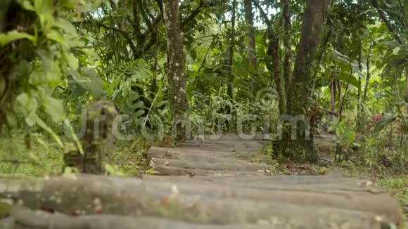 在森林道路上赤足奔跑的土著人视频的预览图