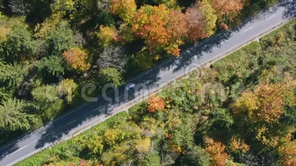 奇妙的颜色的泰格恩看到在秋天被一架无人机捕捉到4K视频的预览图