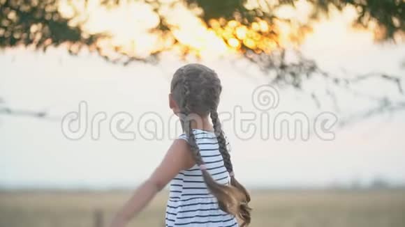 在田野和一棵树下的女孩视频的预览图
