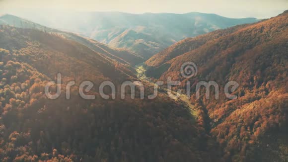 茂密的棕色森林覆盖着秋日照耀的丘陵景观视频的预览图