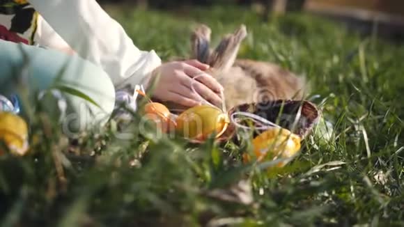 灰兔坐在一个小女孩旁边草地上的毯子上女孩抚摸兔子兔子是相当的噪音视频的预览图