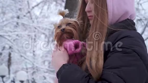 肖像少女长发披着兜帽抱着一只穿着羊毛衫抱着狗的约克郡猎犬视频的预览图