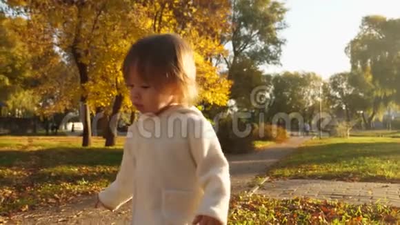 快乐的孩子在公园里玩小宝宝在秋天公园里跑来跑去笑着玩着秋天的树叶视频的预览图