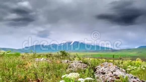 暴风雨中山背景上的野花视频的预览图