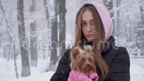 一位留着长发的可爱女孩拥抱着一只穿着羊毛衫的约克郡猎犬双手抱着一只狗视频的预览图