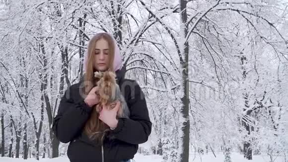 在冬天的公园里一位可爱的少女在白雪覆盖的树木的背景上手牵着一只约克郡猎犬A视频的预览图