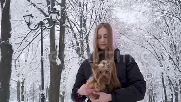 在冬天的公园里一位可爱的少女在白雪覆盖的树木的背景上手牵着一只约克郡猎犬A视频的预览图
