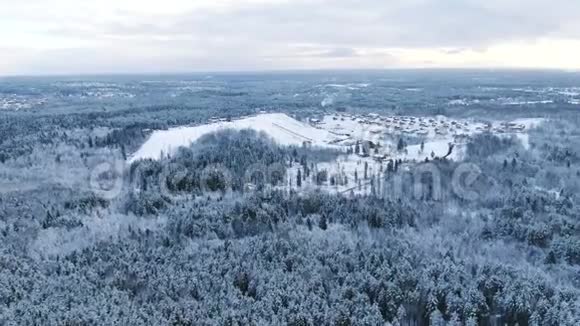 冬季度假胜地动作冬季森林环绕的大型滑雪场斜坡和滑雪场的鸟瞰图视频的预览图