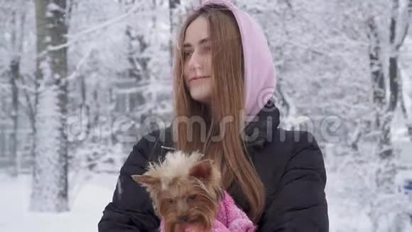 一位留着长发的可爱女孩拥抱着一只穿着羊毛衫的约克郡猎犬双手抱着一只狗视频的预览图