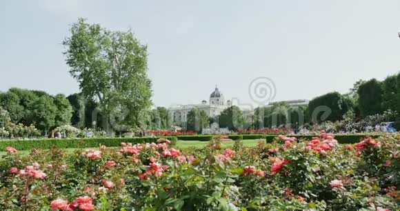 维也纳伏尔加滕的红玫瑰旧建筑背景视频的预览图