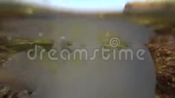 海水母在海里游泳视频的预览图