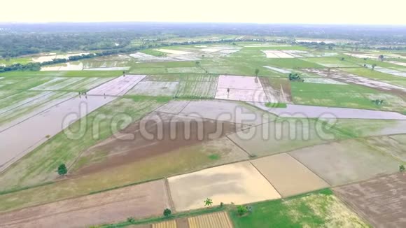 无人驾驶飞机的高清空中景观稻田农村农业地区视频的预览图