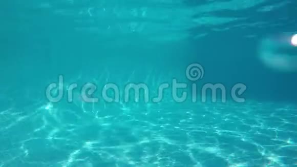 白种人女孩潜入蓝泳池差点撞到底部视频的预览图