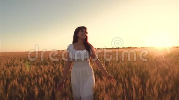 在温暖的夏日傍晚女孩触摸成熟的麦穗穿着白色衣服的快乐女孩带着一缕麦子走在田野上视频的预览图