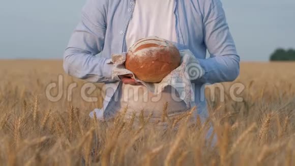 丰收了农夫的手在收割的谷物麦田里给你白餐巾纸上红润的面包视频的预览图