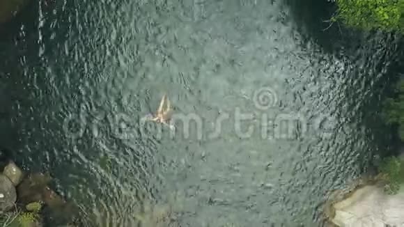空中观景人在热带雨林的山湖里游泳在野生热带森林瀑布湖游泳的游客视频的预览图