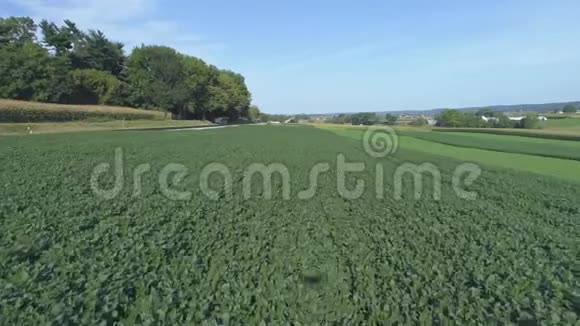 空中景观靠近阿米什乡铁路轨道旁的绿色农业农场土地视频的预览图