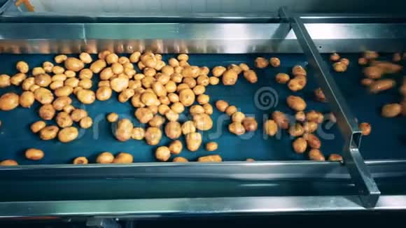 工厂机器正在运送洗过的土豆视频的预览图